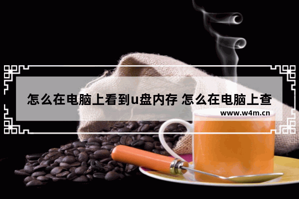 怎么在电脑上看到u盘内存 怎么在电脑上查看优盘内存