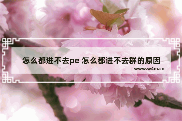 怎么都进不去pe 怎么都进不去群的原因