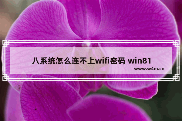 八系统怎么连不上wifi密码 win81连接不上wifi