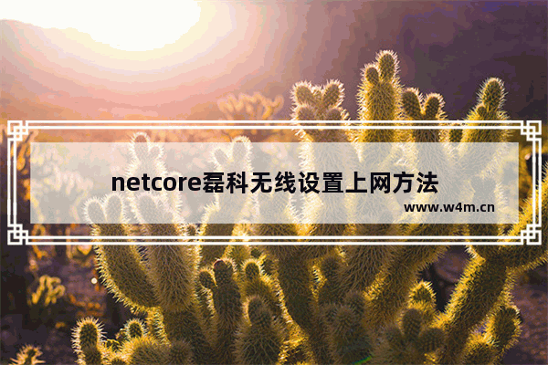 netcore磊科无线设置上网方法