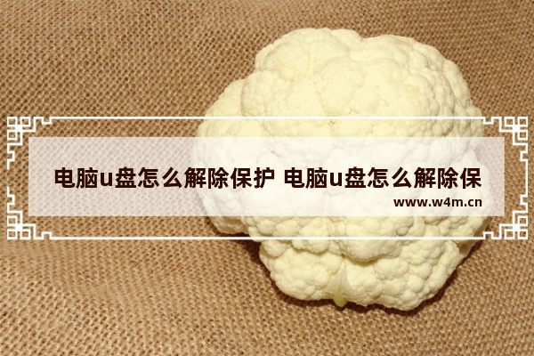 电脑u盘怎么解除保护 电脑u盘怎么解除保护模式