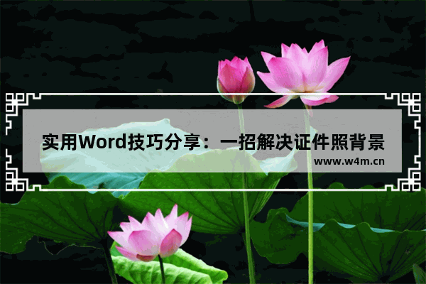 实用Word技巧分享：一招解决证件照背景问题-