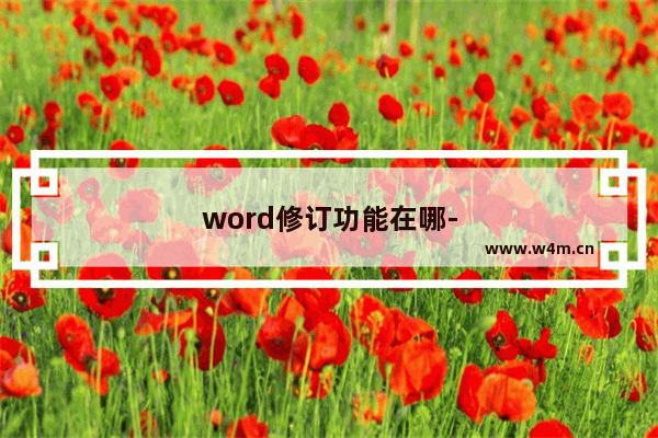 word修订功能在哪-