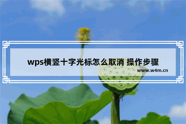 wps横竖十字光标怎么取消 操作步骤