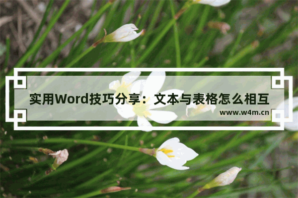 实用Word技巧分享：文本与表格怎么相互转换-