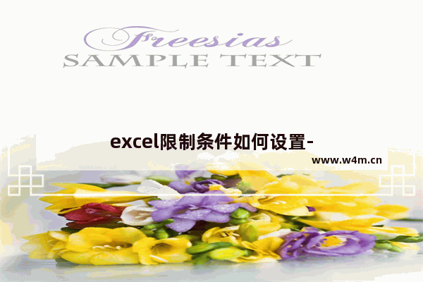 excel限制条件如何设置-