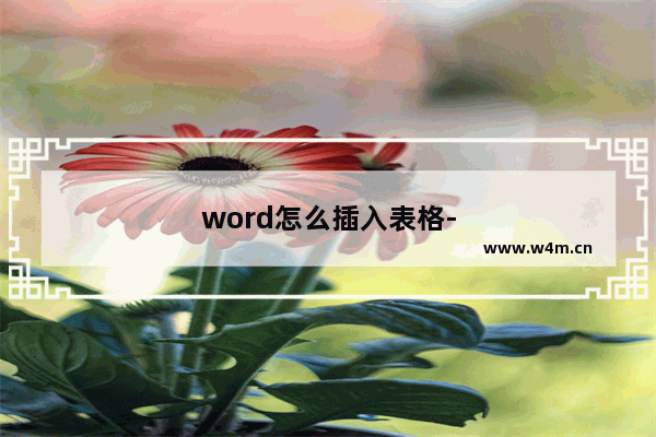 word怎么插入表格-