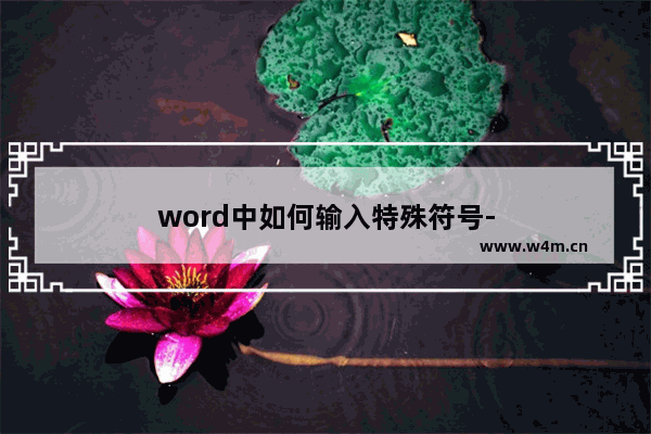 word中如何输入特殊符号-