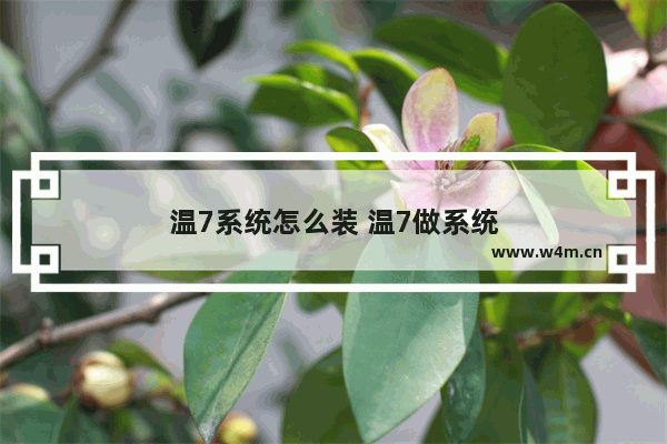 温7系统怎么装 温7做系统