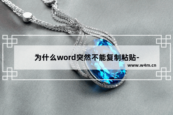 为什么word突然不能复制粘贴-