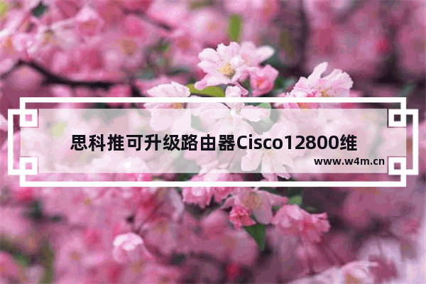 思科推可升级路由器Cisco12800维护市场优势