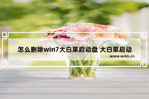 怎么删除win7大白菜启动盘 大白菜启动盘清除win7密码