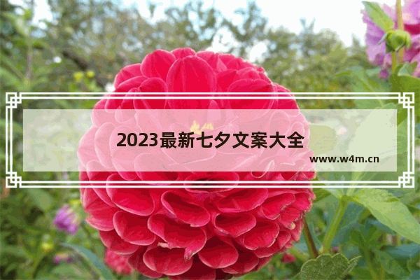 2023最新七夕文案大全