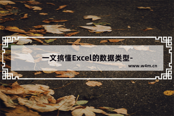 一文搞懂Excel的数据类型-