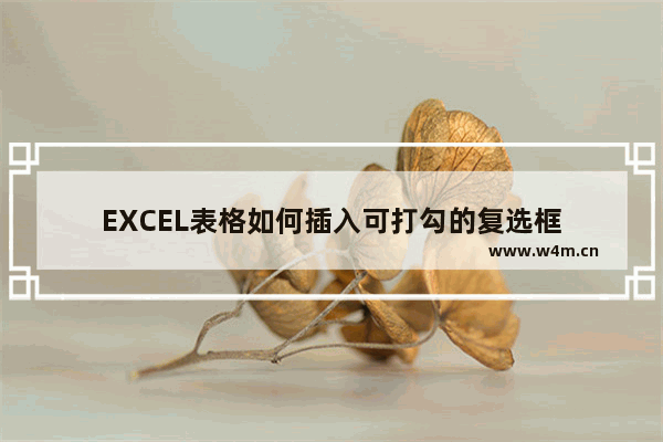 EXCEL表格如何插入可打勾的复选框