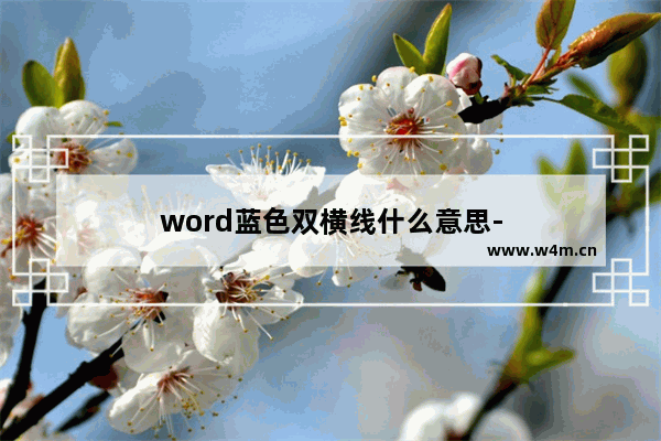 word蓝色双横线什么意思-