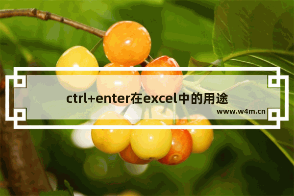 ctrl+enter在excel中的用途有哪些-