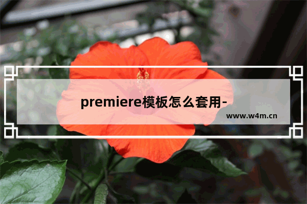 premiere模板怎么套用-