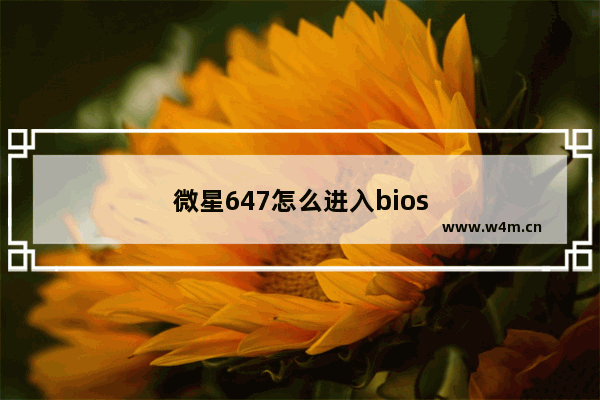 微星647怎么进入bios