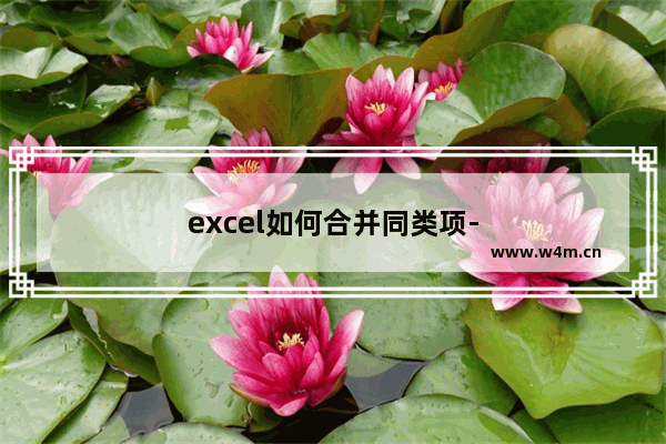 excel如何合并同类项-