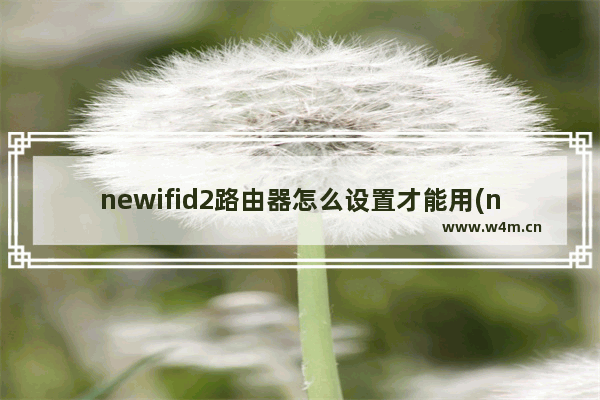 newifid2路由器怎么设置才能用(newifi登录入口)