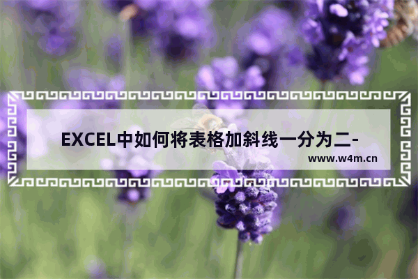 EXCEL中如何将表格加斜线一分为二-