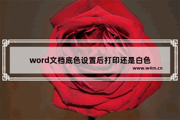 word文档底色设置后打印还是白色