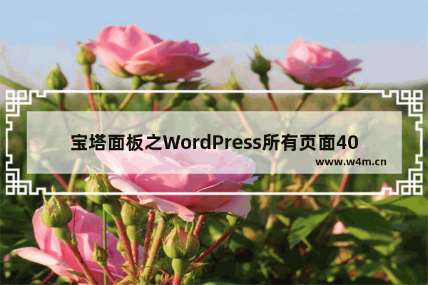 宝塔面板之WordPress所有页面404分类页面导航也找不到文章怎么办？-