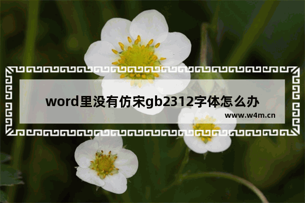 word里没有仿宋gb2312字体怎么办-