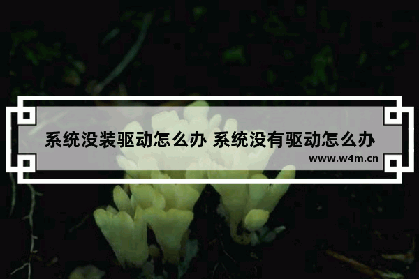 系统没装驱动怎么办 系统没有驱动怎么办