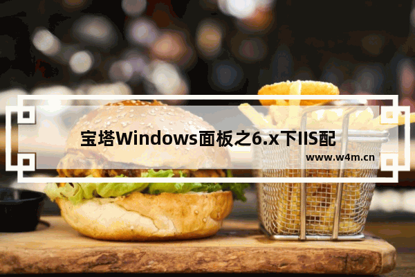 宝塔Windows面板之6.x下IIS配置文件格式说明-