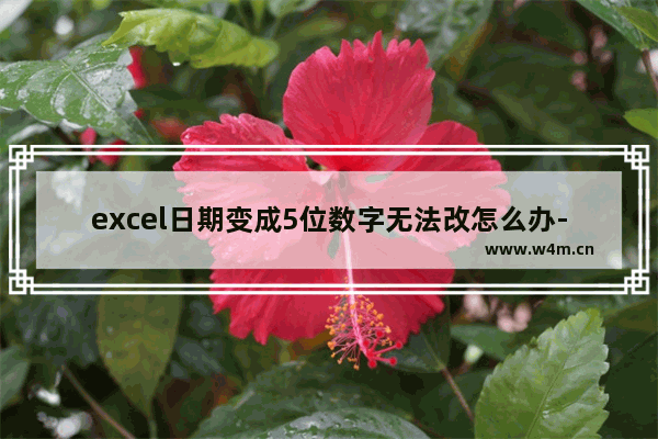 excel日期变成5位数字无法改怎么办-