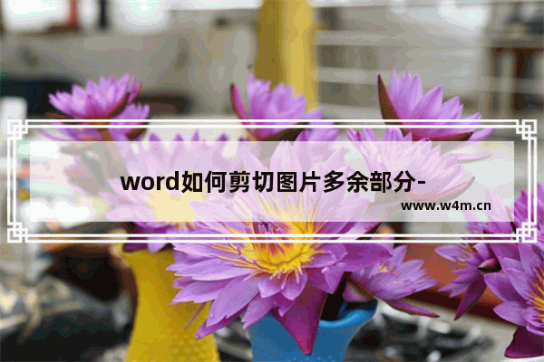 word如何剪切图片多余部分-