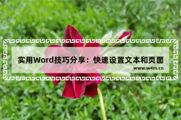 实用Word技巧分享：快速设置文本和页面纵横混排显示-