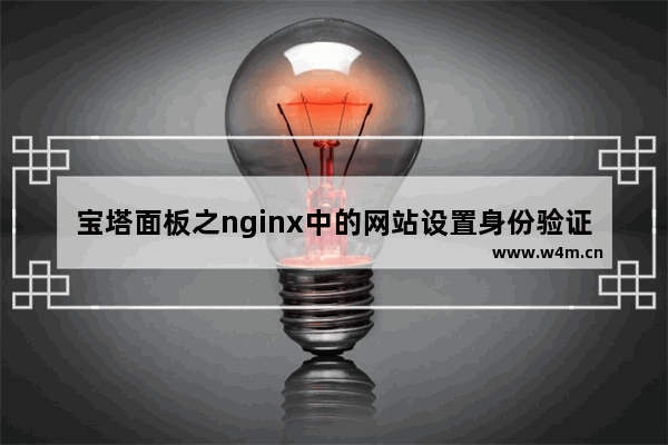 宝塔面板之nginx中的网站设置身份验证-