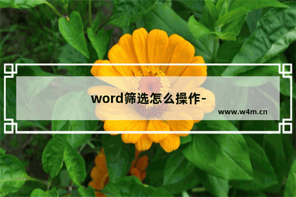 word筛选怎么操作-