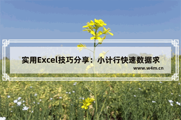 实用Excel技巧分享：小计行快速数据求和和添加样式-