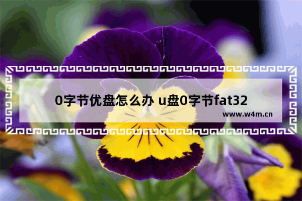 0字节优盘怎么办 u盘0字节fat32