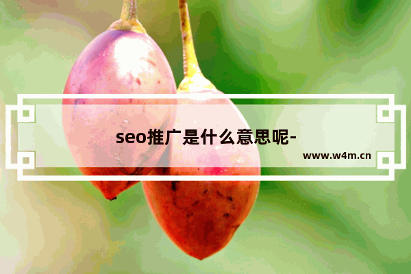 seo推广是什么意思呢-