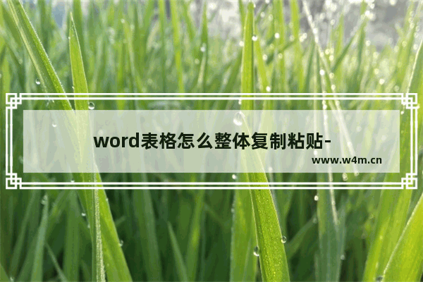 word表格怎么整体复制粘贴-