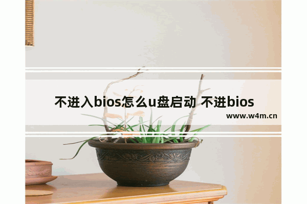 不进入bios怎么u盘启动 不进bios怎么设置启动项