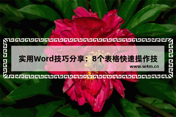 实用Word技巧分享：8个表格快速操作技巧-