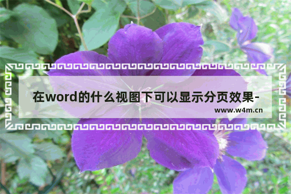 在word的什么视图下可以显示分页效果-