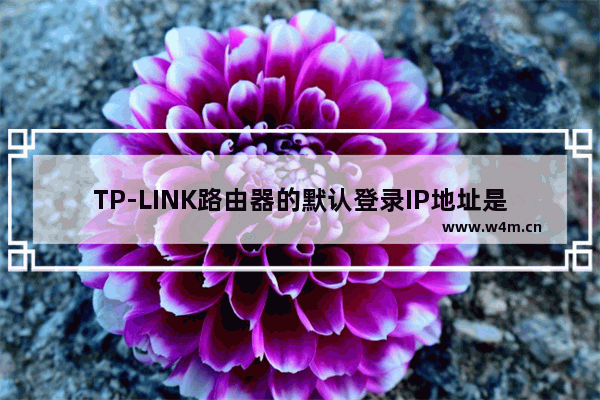 TP-LINK路由器的默认登录IP地址是多少