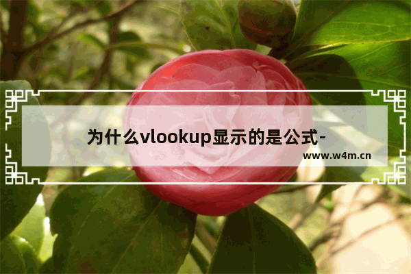 为什么vlookup显示的是公式-