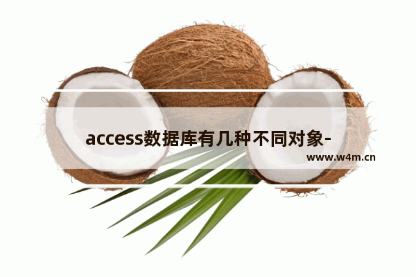 access数据库有几种不同对象-