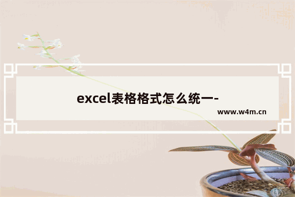 excel表格格式怎么统一-