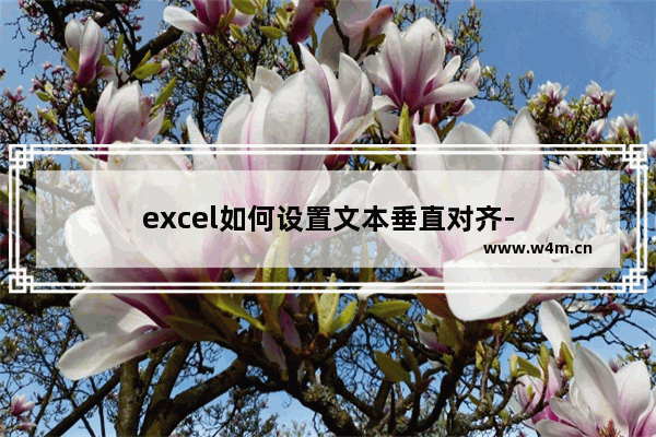 excel如何设置文本垂直对齐-