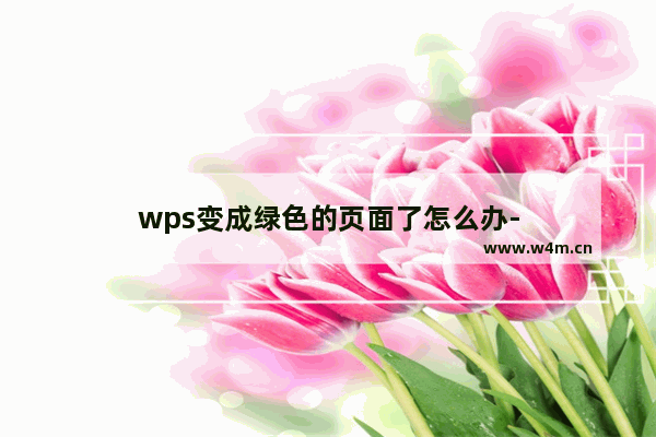 wps变成绿色的页面了怎么办-