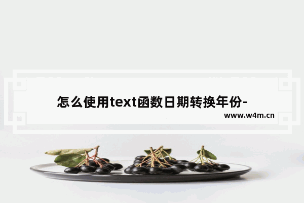 怎么使用text函数日期转换年份-